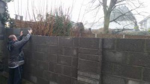 new garden wall built